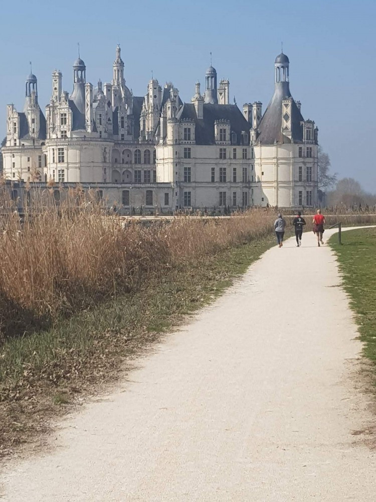 Trail Run au Château de Chambord